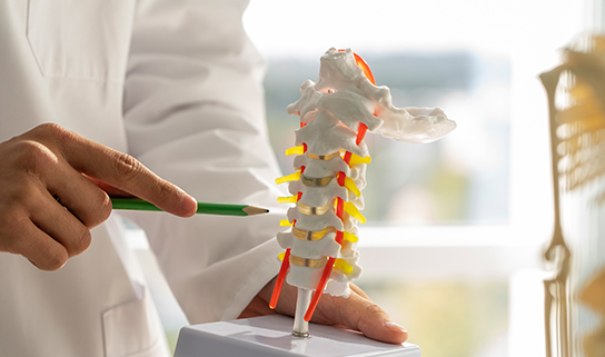 Key Steps for a Successful Recovery After Spine TB Surgery